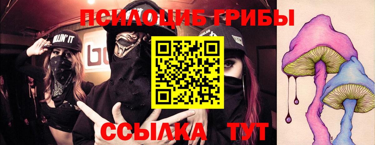 Галлюциногенные грибы прущие грибы  Вход с VPN  купить  цена  Балтийск 