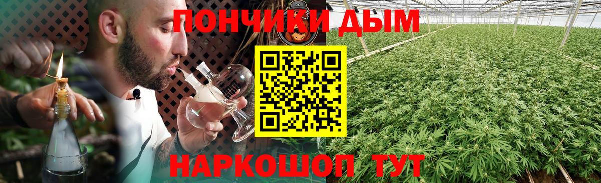 Бошки Шишки марихуана  Вход с VPN  МАРИХУАНА SATIVA & INDICA  Балтийск 